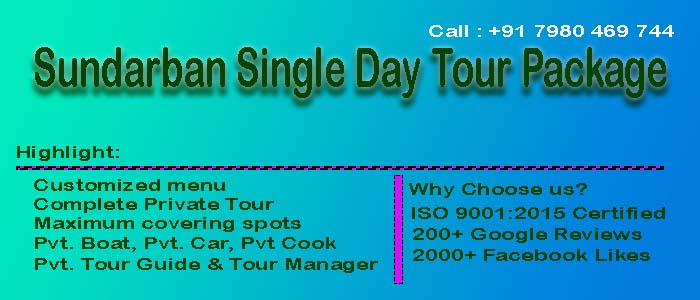 Sundarban-Single-Day-Tour-Package
