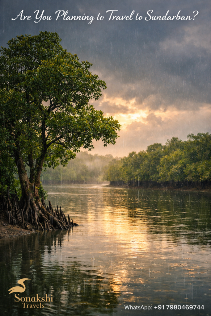 Are You Planning to Travel to Sundarban