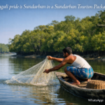 Bengali pride is Sundarban in a Sundarban Tourism Package