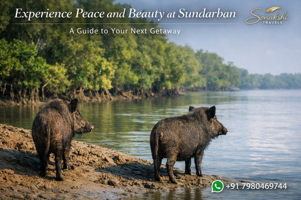 Experience Peace and Beauty at Sundarban: A Guide to Your Next Getawa