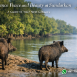 Experience Peace and Beauty at Sundarban: A Guide to Your Next Getawa