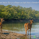 Important Safety Tips for a Happy and Safe Stay in Sundarban