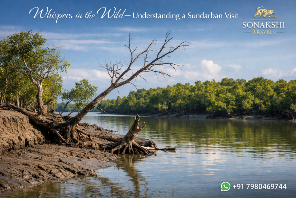 Whispers in the Wild—Understanding a Sundarban Visit