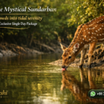 Explore the Mystical Sundarban with Our Exclusive Single Day Package