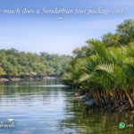 How much does a Sundarban tour package cost?