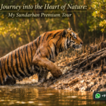 A Journey into the Heart of Nature: My Sundarban Premium Tour