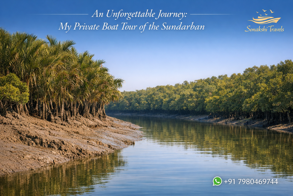 An Unforgettable Journey: My Private Boat Tour of the Sundarban