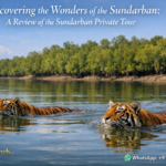 Discovering-the-Wonders-of-the-Sundarban