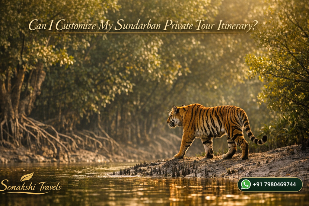 Can I Customize My Sundarban Private Tour Itinerary