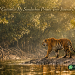 Can I Customize My Sundarban Private Tour Itinerary