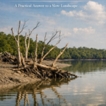 How Many Days Do You Need in the Sundarban