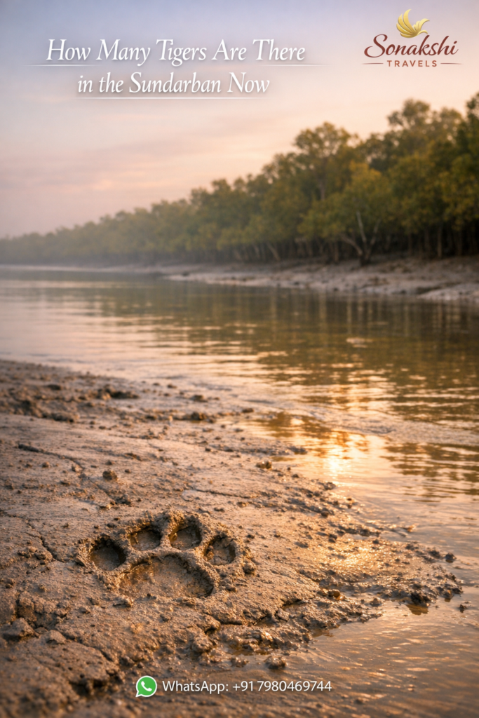 How Many Tigers Are There in the Sundarban Now