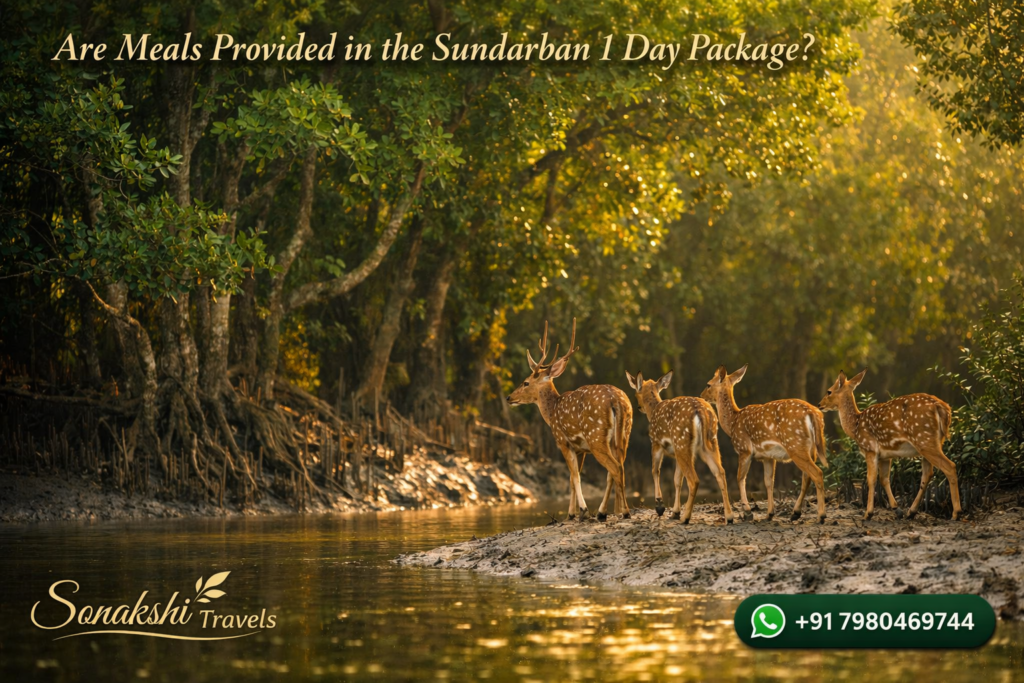 Are Meals Provided in the Sundarban 1 Day Package?