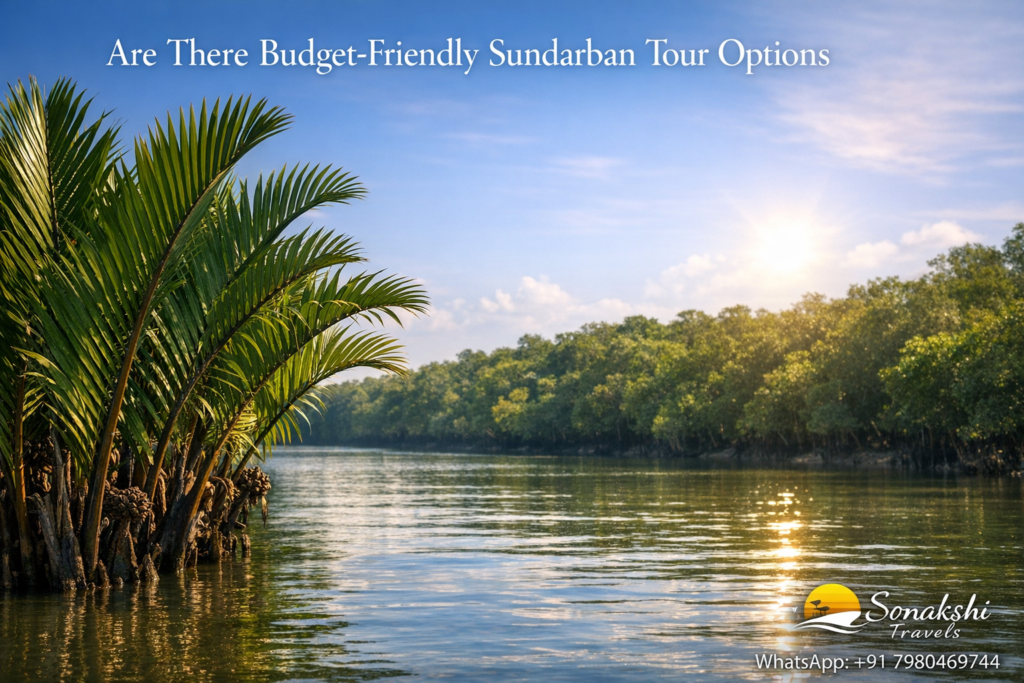 Are There Budget-Friendly Sundarban Tour Options