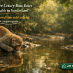 Are There Luxury Boat Tours Available in Sundarban?