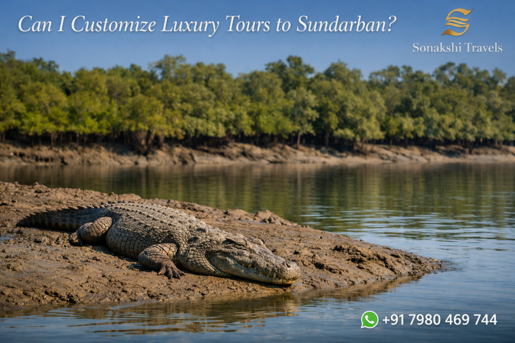 Can I Customize Luxury Tours to Sundarban