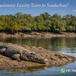Can I Customize Luxury Tours to Sundarban