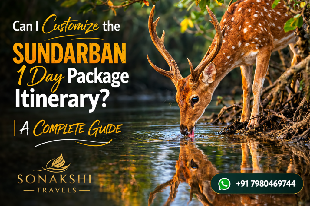 Can I Customize the Sundarban 1 Day Package Itinerary