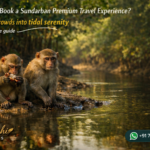 How Can I Book a Sundarban Premium Travel Experience?