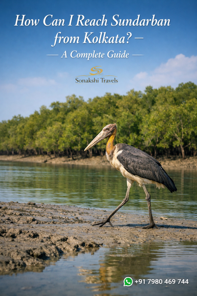 How Can I Reach Sundarban from Kolkata