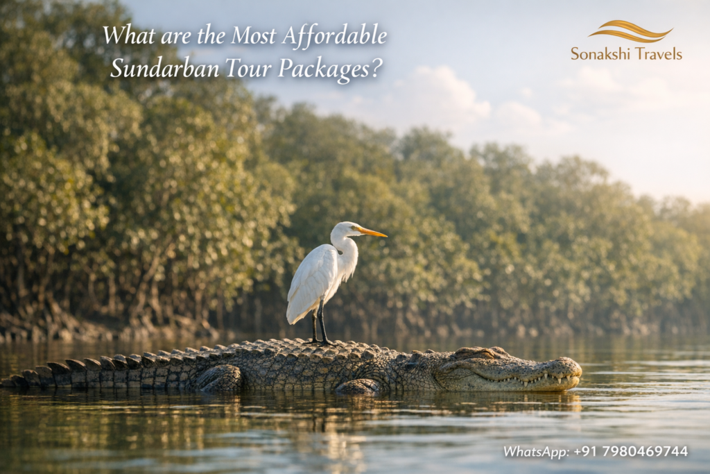 What are the Most Affordable Sundarban Tour Packages