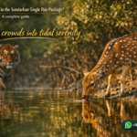 What is included in the Sundarban Single Day Package