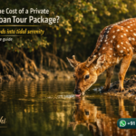 What is the Cost of a Private Sundarban Tour Package