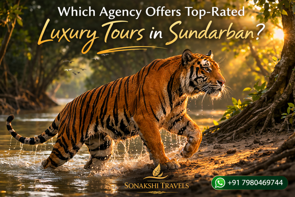 Which Agency Offers Top-Rated Luxury Tours in Sundarban