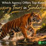 Which Agency Offers Top-Rated Luxury Tours in Sundarban