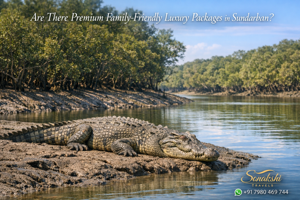 re There Premium Family-Friendly Luxury Packages in Sundarban