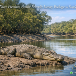re There Premium Family-Friendly Luxury Packages in Sundarban