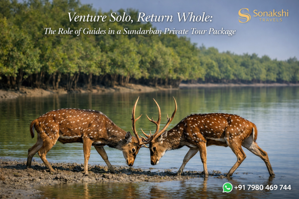 sundarban deers