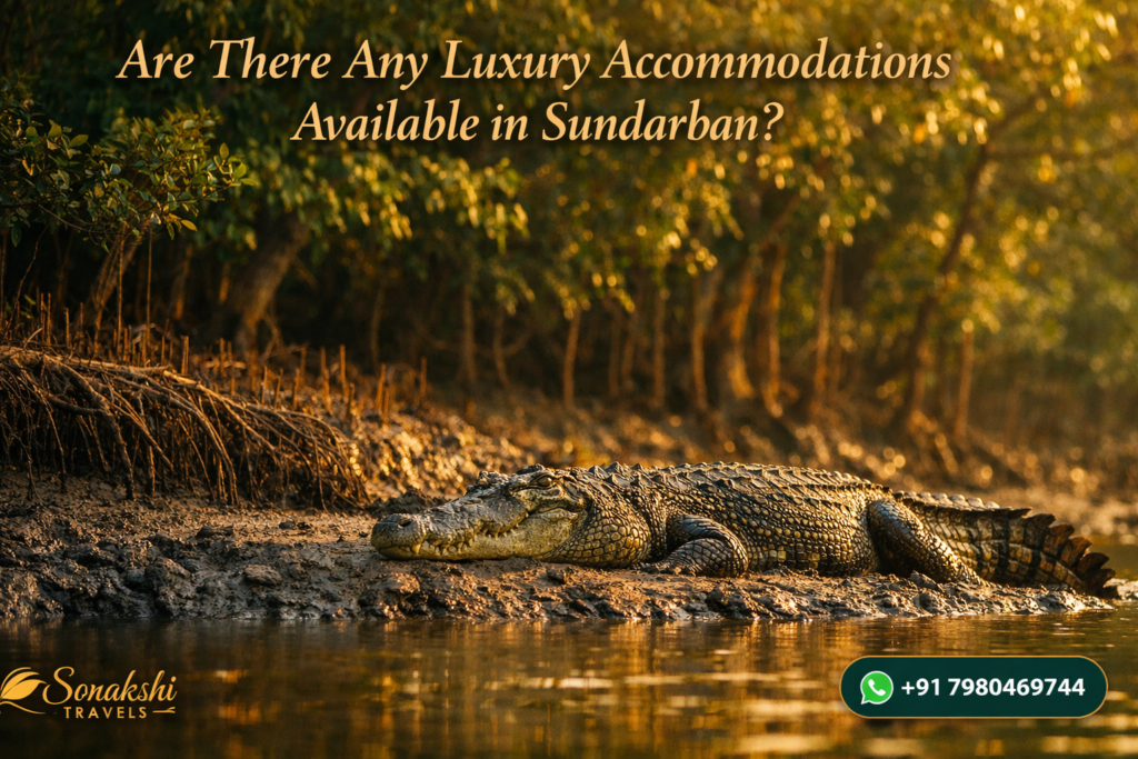 Are There Any Luxury Accommodations Available in Sundarban