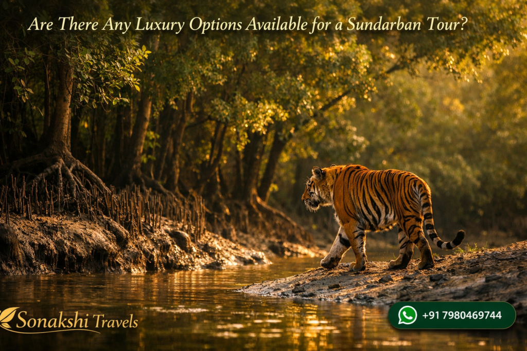 Are There Any Luxury Options Available for a Sundarban Tour?