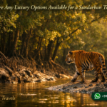 Are There Any Luxury Options Available for a Sundarban Tour?