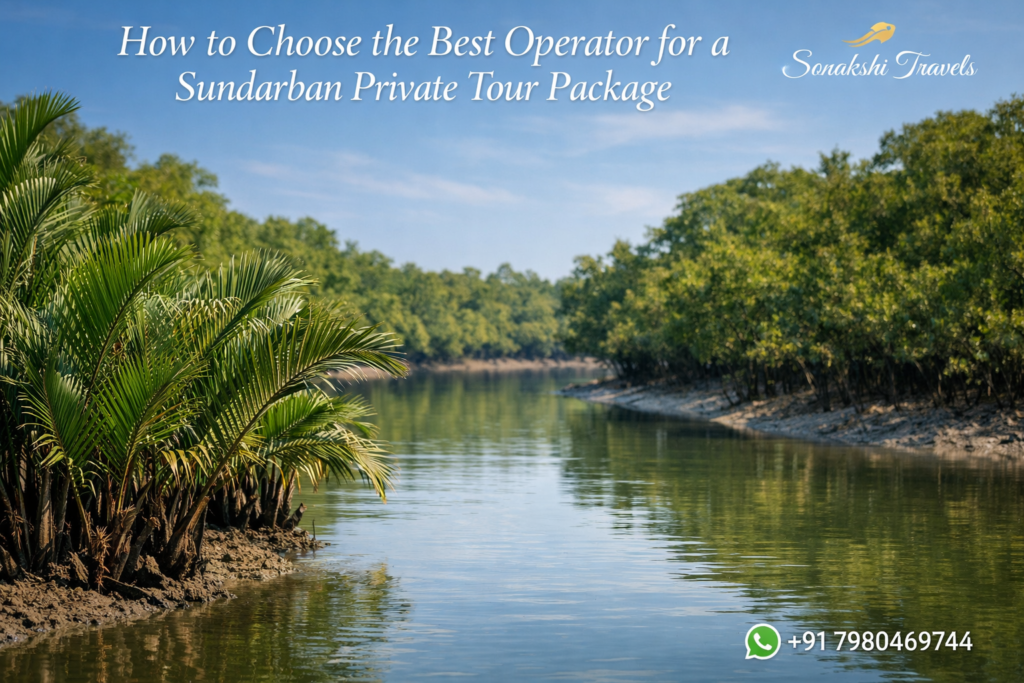 How to Choose the Best Operator for a Sundarban Private Tour Package