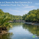 How to Choose the Best Operator for a Sundarban Private Tour Package