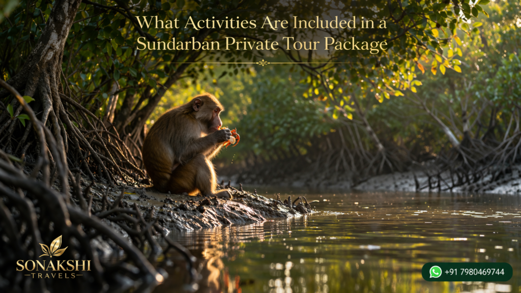 What Activities Are Included in a Sundarban Private Tour Package