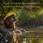 What Activities Are Included in a Sundarban Private Tour Package
