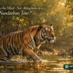What are the Must-See Attractions on a Sundarban Tour