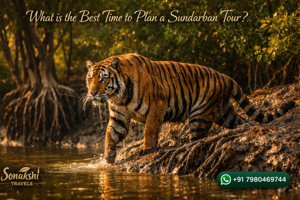 What is the Best Time to Plan a Sundarban Tour