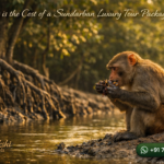 What is the Cost of a Sundarban Luxury Tour Package