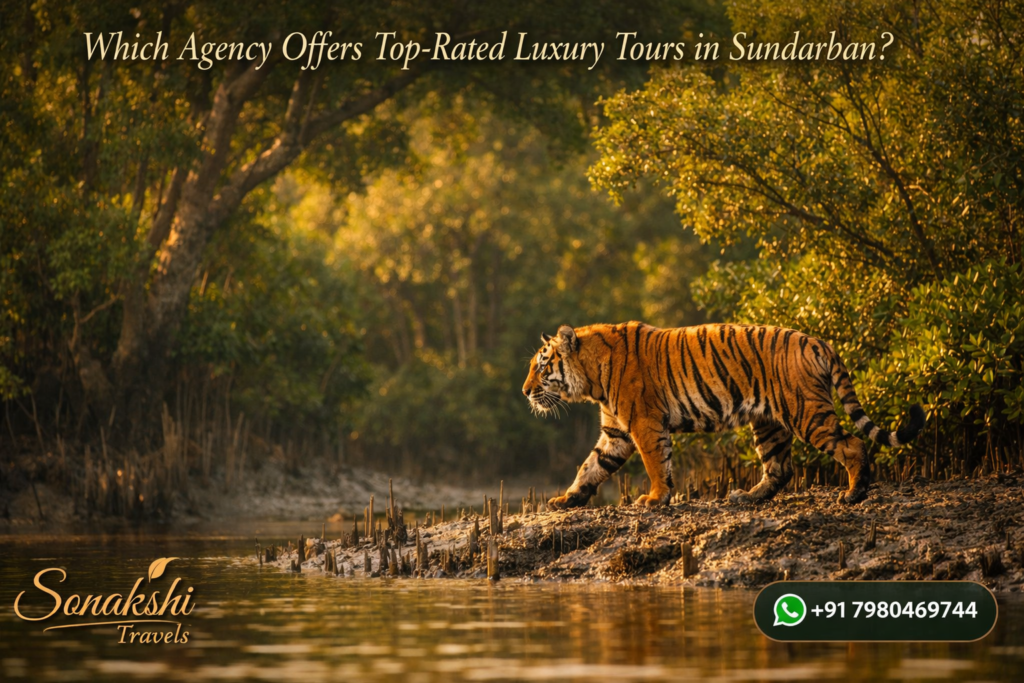 Which Agency Offers Top-Rated Luxury Tours in Sundarban?