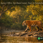 Which Agency Offers Top-Rated Luxury Tours in Sundarban?