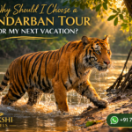 Why Should I Choose a Sundarban Tour for My Next Vacation?