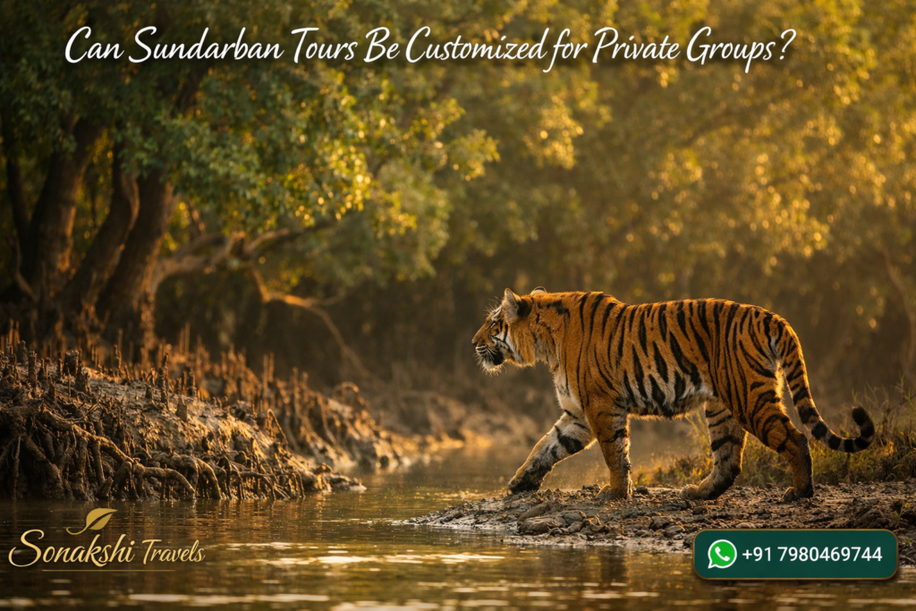 Can Sundarban Tours Be Customized for Private Groups?