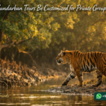 Can Sundarban Tours Be Customized for Private Groups?