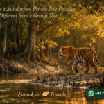 How is a Sundarban Private Tour Package Different from a Group Tour