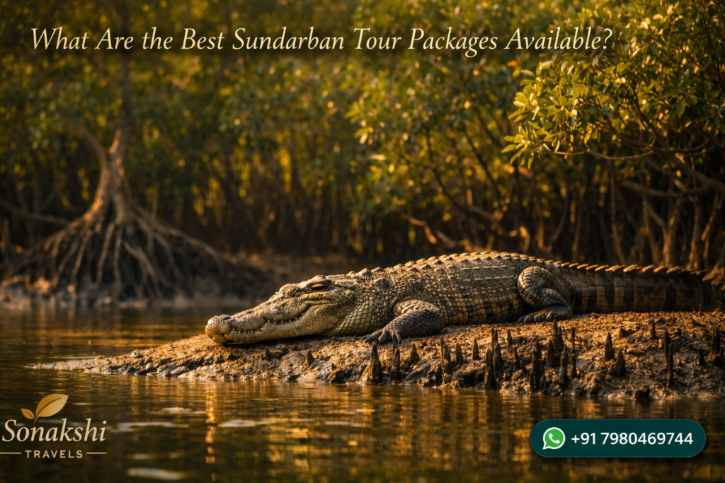 What Are the Best Sundarban Tour Packages Available