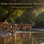 What Makes Sundarban Luxury Tours Unique